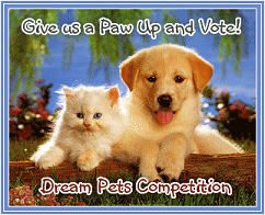 Dreamers Odyssey Web Site Competition - Dream Pets - 'GORDO'