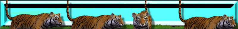 It's A Zoo! Webset Header 1